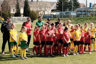Ein toller Tag für den Mädchenfußball in Zwickau - Sechs Mannschaften traten zum E-Juniorinnen-Turnier an.