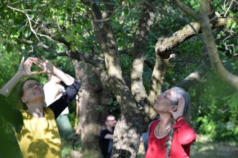 Ein Waldbad gibt Kraft -