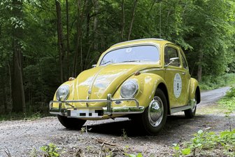 Ein West-Käfer mit DDR-Ersatzteilen: Kurioser Oldtimer rollt bei Tour durchs Vogtland und Erzgebirge - Der VW Käfer von Uwe Klose hat eine auffällige Farbe – und viele Teile, die es nur in der DDR gab.