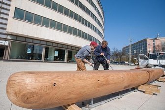 Einbaum lädt zur Rast vor Archäologiemuseum ein -