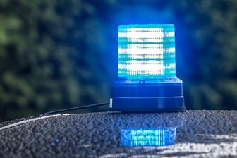 Einbrecher stehlen Druckluftwaffen -
