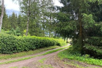 Einbruch in Bungalow in Mulda: Wie ist der Stand der Ermittlungen? - Dieser Weg führt zu der Bungalowsiedlung bei Mulda, in der sich am 14. Juni ein Einbruch ereignete.