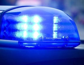 Einbruch in Kleingartenanlage: Polizei stellt zwei Verdächtige -