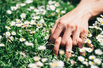„Eine Ausstrahlung wie ein junger warmer Frühlingstag“: Mann hofft auf Wiedersehen mit Zwickauerin - Ein Mann hat Frühlingsgefühle im Spätsommer – wegen einer Zwickauerin.