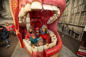 Eine begehbare Mundhöhle entpuppt sich als Hit beim Gesundheitstag im Plauener Landratsamt - Eine begehbare Mundhöhle entpuppte sich am Mittwoch beim Gesundheitstag im Plauener Landratsamt als Hit.