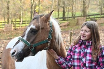 Eine Familie rettet Tiere vor dem Ende im Schlachthof - Die zwölfjährige Mira Naumann kümmert sich liebevoll um das Reitpferd Shari, das ihre Familie vor dem Schlachthof gerettet hat.