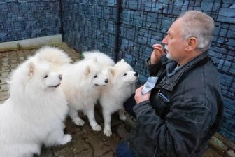 Eine Hunderasse für viel Tohuwabohu - Wolfgang Berger aus dem Lichtentanner Ortsteil Stenn mit den Hunden Baron, Xenia und Destiny. 