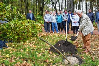 Eine Stieleiche für jeden Ehrenbürger von Burgstädt - Für jeden der fünf Ehrenbürger der Stadt Burgstädt ist ein Baum gepflanzt worden, hier Norbert Linke, der ehemalige Chef des Krankenhauses und Stadtrat. Der 80-Jährige erhielt vor drei Jahren die Würdigung. 