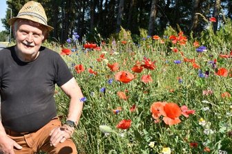 Eine Wildblumenwiese und ihr Schöpfer - Bernd Dölling aus Wernitzgrün hat eine Wildblumenwiese angelegt. Die Blütenpracht ist ein Hingucker und fürInsekten ein Paradies.