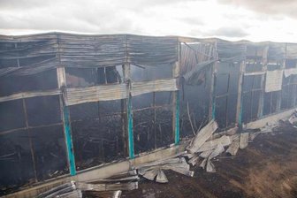 Eine Woche nach Großbrand: Wehr löscht weiter kleine Glutnester - Die abgebrannte Lagerhalle kurz nach dem Großbrand.