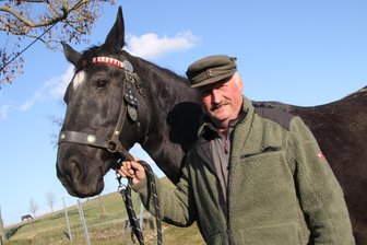 Einer der Letzten seiner Art: Dieser Erzgebirger arbeitet als Holzrücker mit Pferden - Jürgen Richter aus Gahlenz bei Oederan mit seiner Stute Lotta.