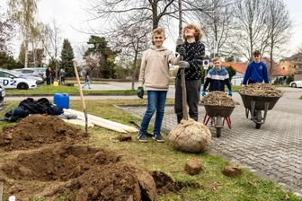 Einfach die Welt im Kleinen ein bisschen schöner machen: Junge Burgstädter sind preiswürdig - Willy Matthes, Toman Scheithauer, Josias Ulbricht und Arno Fuhrmann (v. l.) pflanzen einen Baumsetzling.