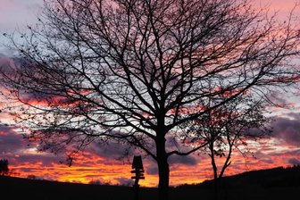 Einfach mal innehalten - 