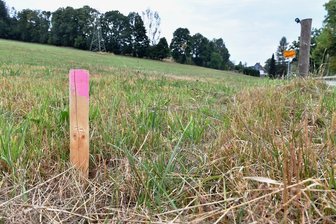 Einkaufsmarkt in Mulda: Brachfläche kontra grüne Wiese - Auf dieser gerade abgemähten Wiese am Ortsausgang Mulda in Richtung Helbigsdorf soll nach derzeitigen Plänen ein Einkaufsmarkt entstehen.