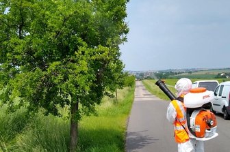 Einsatz gegen gefräßige Raupen beendet - In Schutzkleidung werden durch Mitarbeiter der Schädlingsbekämpfungs GmbH Hainichen die Bäume im Landkreis Mittelsachsen mit einem Biozid behandelt. Das tötet die Raupen des Goldafters und des Eichenprozessionsspinners ab und verhindert Kahlfraß.