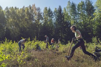 Einsatz im Hartmannsdorfer Forst: Freiwillige Helfer retten Bergwiesen und Heideflächen - Freiwillige bei der Lupinenbeseitigung auf Heideflächen im Hartmannsdorfer Forst.