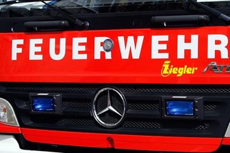 Einsatzkräfte retten Mauersegler -