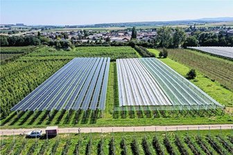 Einsiedel sagt nein zu Solarenergie in der Landwirtschaft - So könnten sogenannte Agri-Fotovoltaik-Anlagen aussehen: Im Projekt »Agri-PV Obstbau« werden verschiedene Solarmodul-Technologien (links) und herkömmliche Kulturenschutzsysteme (rechts) getestet.