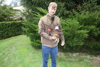 Einst mit Losglück zum Hobby – heute ist Lauenhainer Deutscher Meister - Züchter Kevin Böwer mit seiner preisgekrönten Henne der Rasse Wyandotten gold-schwarz-gesäumt.