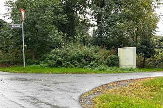 Einwohner in Oelsnitz und Markneukirchen eingeladen - An der Kreuzung Stephanstraße/Raasdorfer Straße ist Dienstag, 16 Uhr, Treffpunkt zum Oelsnitzer Stadtrundgang.