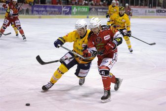 Eispiraten-Chefetage gibt grünes Licht: Trainer Jussi Tuores darf Kader verstärken - Colin Smith (rechts) fällt am Wochenende aus.. Der Deutsch-Kanadier wartet auf die Auswertung einer MRT-Untersuchung.
