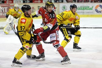 Eispiraten Crimmitschau: Darum ist Krefeld der Wunschgegner des Trainerduos - Viermal mussten Henri Kanninen und die Eispiraten Crimmitschau in der Hauptrunde gegen die Krefeld Pinguine antreten, viermal verloren die Westsachsen. Für das Crimmitschauer Trainerduo Jussi Tuores und Esbjörn Hofverberg ist das Team aus Nordrhein-Westfalen trotzdem der Wunschgegner im anstehenden Viertelfinale der Playoffs.
