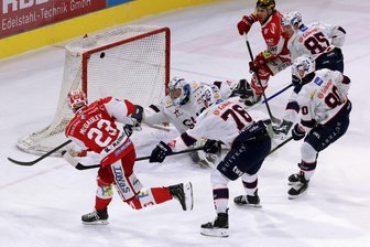 Eispiraten Crimmitschau gewinnen gegen Ravensburg: Jubel über genialen Spielzug und Sorge um angeschlagenen Topscorer - Nach einem perfekten Spielzug: Tim McGauley trifft zum Ausgleich.