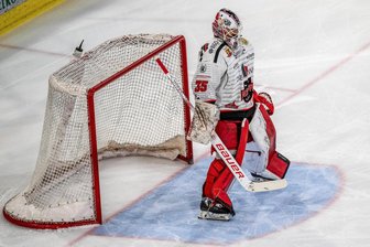 Eispiraten Crimmitschau klären Torhüter-Frage: Ein Mann mit DEL-Erfahrung kommt - Kevin Reich stand in der Saison 2024/25 im Tor der Hannover Scorpions. Künftig trägt er das Trikot der Eispiraten Crimmitschau.