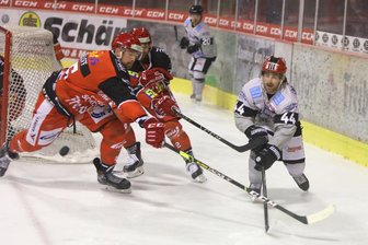 Eispiraten Crimmitschau verlieren Heimspiel gegen Bayreuth Tigers -