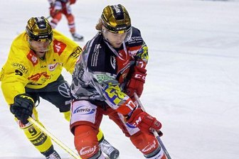 Eispiraten künftig ohne Doherty und Lemay - Mathieu Lemay (rechts) ging drei Jahre erfolgreich für die Eispiraten auf Torejagd.