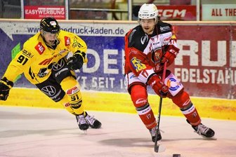 Eispiraten stoppen Negativserie - Mathieu Lemay (rechts) hatte am Freitagabend mit seinen zwei Toren großen Anteil am 5:2-Sieg der Eispiraten gegen Krefeld. Auch in Kassel trug er sich am Sonntag in die Torschützenliste ein.
