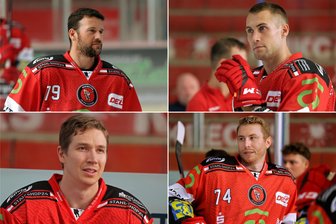 Eispiraten suchen neuen Kapitän: Ein Quartett mit Ambitionen für das „C“ auf der Brust - Ein Quartett gehört bei den Eispiraten Crimmitschau zu den Kandidaten für das Amt des Kapitäns: Mario Scalzo, Tobias Lindberg, , Henri Kanninen und Vincent Saponari (von oben links nach unten rechts).