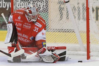 Eispiraten vor Saisonstart: Trainer schenkt Brett Kilar das Vertrauen - Die Entscheidung ist gefallen: Brett Kilar steht zum Saisonstart zwischen den Pfosten.