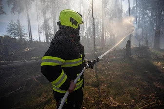 Elbsandsteingebirge: Brand in Böhmischer Schweiz – So ist die Lage in Sachsen - 500 Feuerwehrleute bekämpften am Wochenende einen Brand, der im Nationalpark „Böhmische Schweiz“ nur einen Steinwurf von Sachsen entfernt ausgebrochen war.