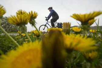 Elsterradweg: Landratsamt missachtet Gesetz - 