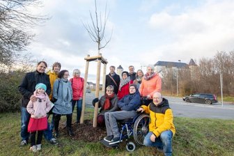 Elterninitiative pflanzt Baum - 