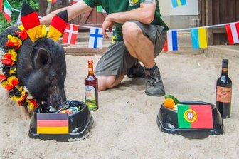 EM-Orakel: Rudi schmatzt fürs deutsche Team - 