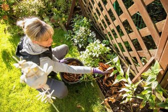 Ende der Saison: Was jetzt im Garten und auf dem Balkon zu tun ist - Lagen von Laub können zwischen Stauden, auf Blumenbeete oder abgeräumte Gemüsebeete verteilt werden. Das schützt den Boden vor starkem Frost, aufkeimendem Unkraut und dem Austrocknen im Frühjahr. 