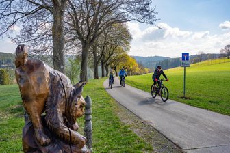 Endlich Blockline-Wetter im Erzgebirge - so gelingt die Mountainbike-Strecke auch untrainiert - Der Luchs ist die Wegmarke am Blockline-Kilometer 63,3 oder auch der achten Etappe von Frauenstein nach Blockhausen.
