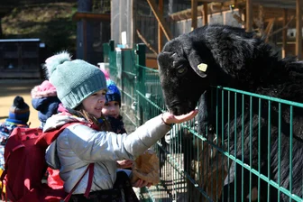 Endlich wieder Open Air! 22 Tipps quer durch Mittelsachsen - Der Naturpark Köbe in Penig ist ein beliebtes Ausflugsziel, auch Svea (vorn) und Hanna haben ihren Spaß beim Füttern der Tiere.