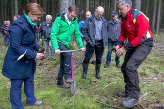 Endspurt im Wahlkampf im Vogtland - CDU-Wahlkampf mit Weißtannen-Setzlingen und "Göttinger Fahrradlenker" im Wald: Ministerpräsident Michael Kretschmer sticht das Pflanzloch, Yvonne Magwas reicht ihm das Bäumchen. Der Geschäftsführer der Forstbetriebsgemeinschaft Sächsisch-Thüringisches Vogtland, Michael Sachse, gibt die Fachanweisung.