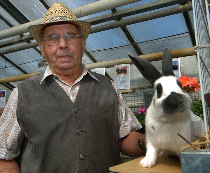 "Englische Schecken" ins Herz geschlossen - 
              <p class="artikelinhalt">Kaninchenzüchter Johannes Martin aus Hainichen mit einer seiner "Englischen Schecken". </p>
            