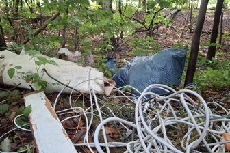 Entdeckung auf Gassi-Runde mit dem Hund regt Werdauer auf - Teppichreste, Kabelsalat, blaue Säcke: Unbekannte haben sich im Steinpöhlwald ihres Mülls entledigt.