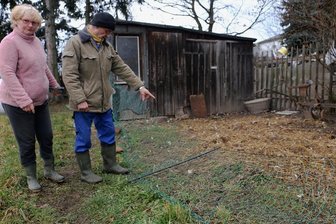 Enten-Diebe schlagen wieder zu: Züchter verlieren wertvolle Tiere - Elke und Thomas Schaal zeigen den Zaun, der von den Dieben niedergewalzt wurde. Das Entenpaar war zum Zeitpunkt des Diebstahls im Stall, der von den Tätern geöffnet wurde.