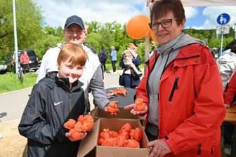 „Enten im Anmarsch“: So ging es zum fünften Entenrennen auf der Flöha zu - Paul aus Flöha suchte seine Exemplare aus.