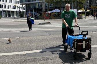 Entenküken verirren sich bei „Freie Presse“ – Rettung quer durch die Chemnitzer Innenstadt - Nach anfänglichem Zögern folgte die Entenmutter ihren Küken selbst über die vielbefahrene Theaterstraße.