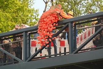 Entenrennen in Flöha: Am Sonntag geht es mit der Strömung flussabwärts - Der Start zum Entenrennen in Flöha erfolgt am Sonntag, 11 Uhr an der Stegbrücke.