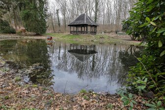 Ententeich in Meerane: Kurz nach der Beräumung gibt es schon wieder Probleme - Der Ententeich im Wilhelm-Wunderlich-Park in Meerane. Die Beräumung hat rund 11.500 Euro gekostet.