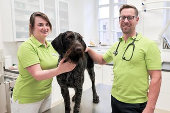 Entgegen dem Trend: Tierarztpraxis im Erzgebirge setzt auf Wachstum - Es sind die letzten Tage in der bisherigen Praxis am Schlettauer Markt. Tierarzt Alexander Armbrecht und sein Team – im Bild Stephanie Franke mit Hund York – werden in Kürze in neue Praxisräume ziehen.