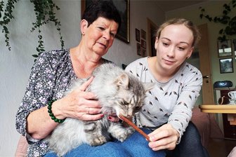 Enthauptete Katze in Zschopau: Tierschutzverein setzt Belohnung für Hinweise aus - Bella, wie Franzi ebenfalls eine zugelaufene Katze, hat Christine Grzelka (links) bei sich daheim aufgenommen. Auch Jessy Weber schaut ab und zu vorbei, um zu sehen, wie es dem Vierbeiner geht.